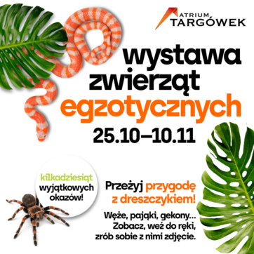 WYSTAWA ZWIERZĄT EGZOTYCZNYCH – przeżyj przygodę z dreszczykiem!